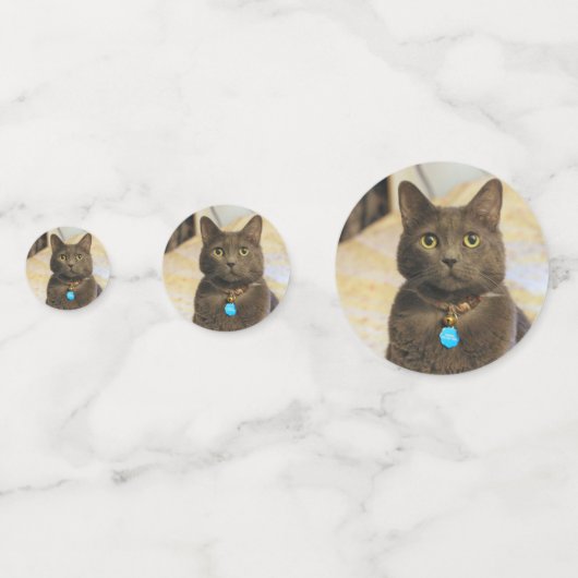 Confettis Mims (Derrière)