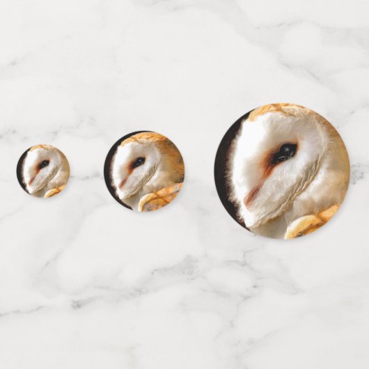 CONFETTIS OWLS (Derrière)