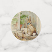 Confettis Peter le Baby shower du jardin du lapin (Petit recto)