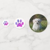 Confettis Photo pour animaux de compagnie Violet rose Emprei (Devant)