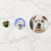 Confettis Photos de chiens personnalisées (Devant)
