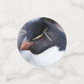 Confettis Pingouin du sud de Rockhopper (Petit recto)
