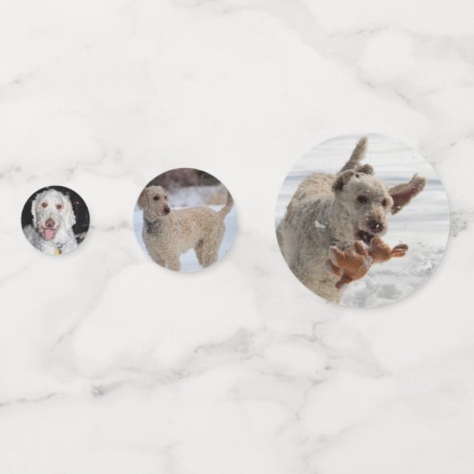 Confettis Poodle (Derrière)