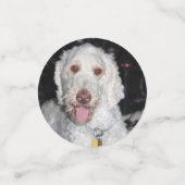 Confettis Poodle (Petit recto)