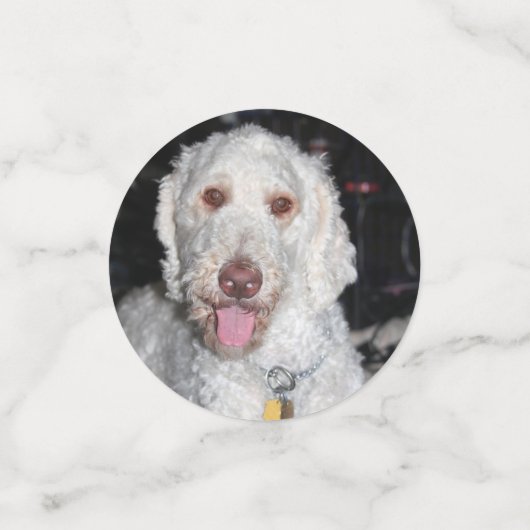 Confettis Poodle (Petit recto)