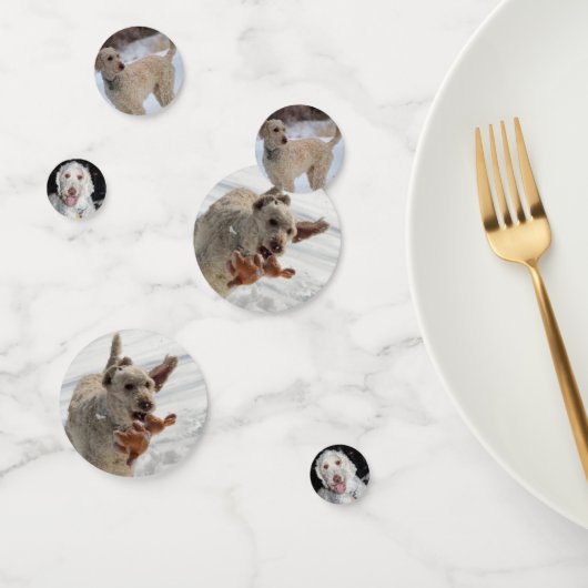 Confettis Poodle (Groupe)