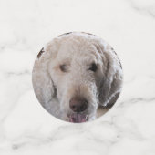 Confettis Poodle (Petit recto)
