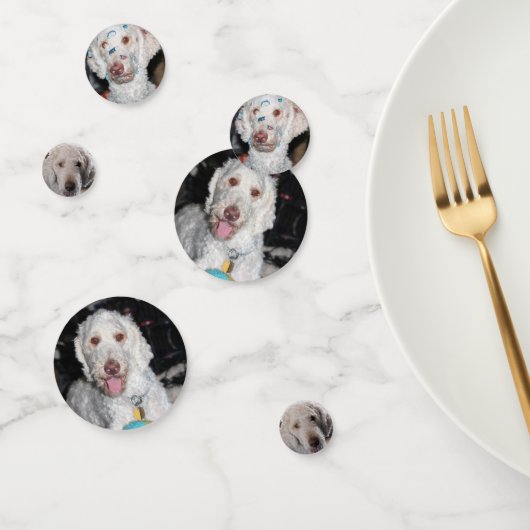Confettis Poodle (Groupe)