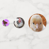 Confettis Poulets Et Coqs, (Devant)