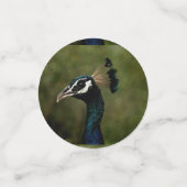 Confettis Profil de Peacock (Petit recto)