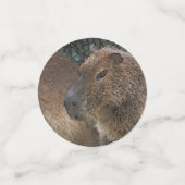 Confettis toony capibarah (Petit recto)