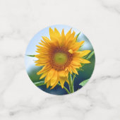 Confettis Tournesols (Petit recto)