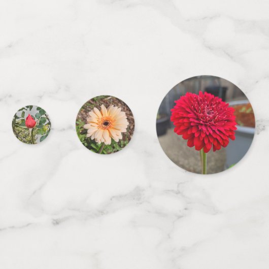 Confettis Un éparpillement de fleurs (Derrière)