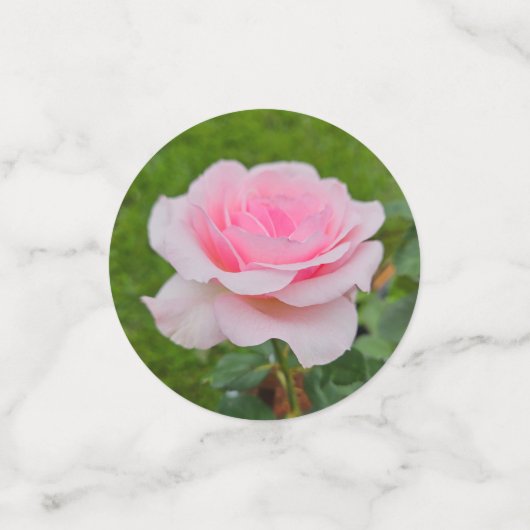 Confettis Un éparpillement de fleurs (Petit recto)