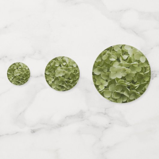 Confettis Vert Annabelle Hydrangea Fleurs Mariage (Derrière)