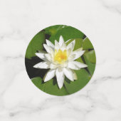 Confettis White lotus (Petit recto)