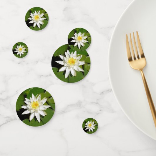 Confettis White lotus (Groupe)