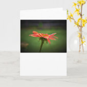 Confleur, carte (Fleur jaune)