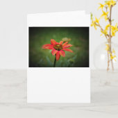 Confleur, carte (Fleur jaune)