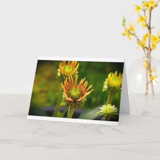 Confleur, carte (Fleur jaune)