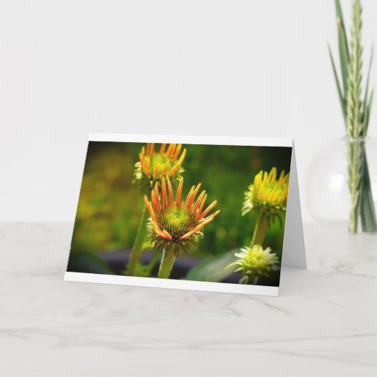 Confleur, carte (Devant)