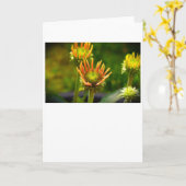 Confleur, carte (Fleur jaune)