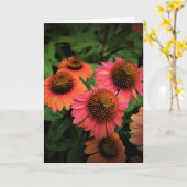 Confleur, carte (Fleur jaune)