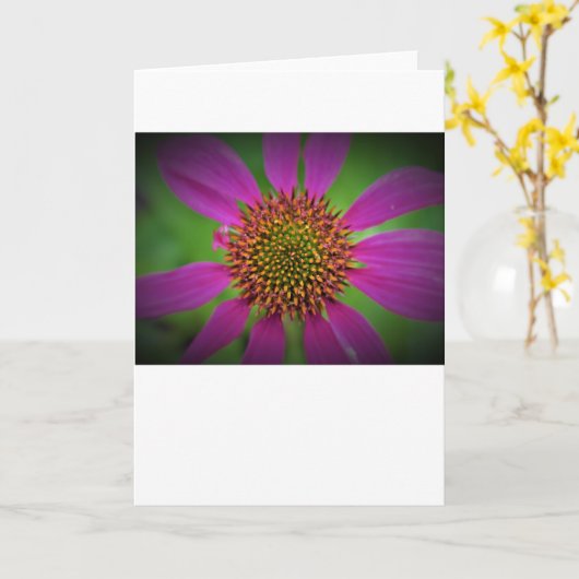 Confleur, carte (Fleur jaune)