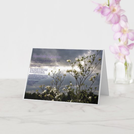 Confort éternel : une carte de sympathie chrétienn (Orchidée)