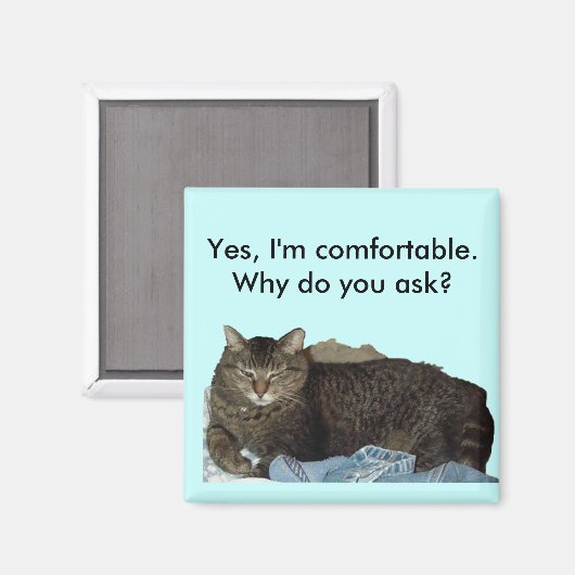 Confortable sur lave-linge aimant chat (Recto/Verso)