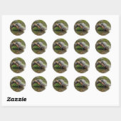 Confortables Stickers Gator (Feuille)