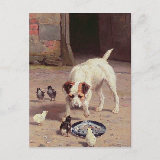 Confrontatie Briefkaart (Voorkant)