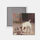 Confrontatie Magneet (Voorkant / Achterkant)