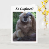 CONFUSÉ DE VOIR COMMENT VOUS REGARDEZ SUR LA CARTE (Fleur jaune)