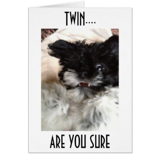 CONFUSED PUP DIT COMMENT POUVEZ-VOUS ÊTRE **60** D