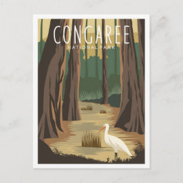 Congaree National Park South Carolina Illustration Briefkaart