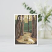 Congaree National Park South Carolina Illustration Briefkaart (Staand voorkant)