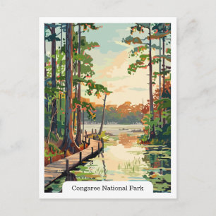 Congaree National Park USA Carte postale