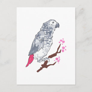 CONGO AFRICAN GRAY PARROT BRIEFKAART