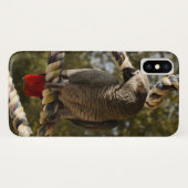 Congo-Afrikaanse grijs op een vleugel Case-Mate iPhone Case (Achterkant (horizontaal))