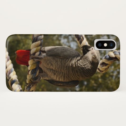 Congo-Afrikaanse grijs op een vleugel Case-Mate iPhone Case (Achterkant (horizontaal))