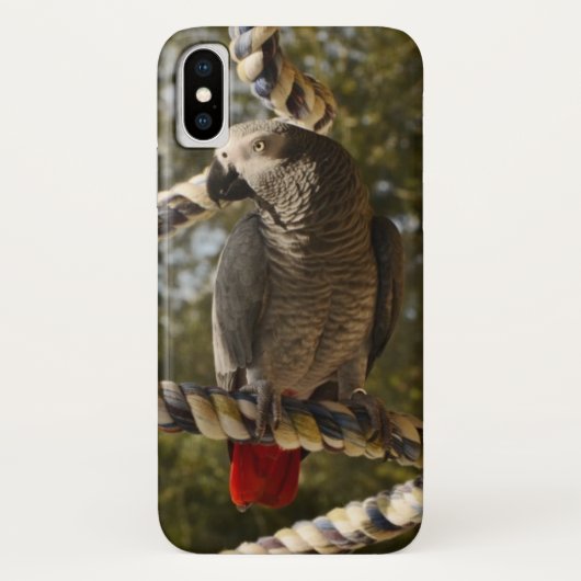 Congo-Afrikaanse grijs op een vleugel Case-Mate iPhone Case (Achterkant)