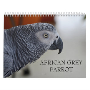 Congo-Afrikaanse Grijze Parrot-kalender Kalender