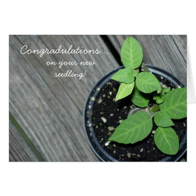 Congradulations ! (Devant Horizontal)