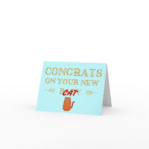 Congrats op uw nieuwe B-kat!