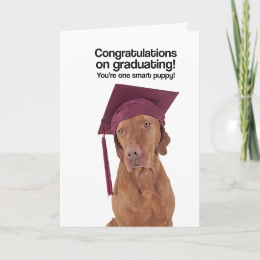 Congrats sur recevoir un diplôme (Vizsla) - carte (Devant)