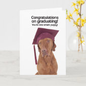 Congrats sur recevoir un diplôme (Vizsla) - carte (Fleur jaune)