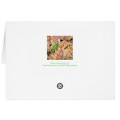 CONGRATULATIES/IK BEN GROEN MET ENVY/GROENE LIZARD (Achterkant Horizontaal)