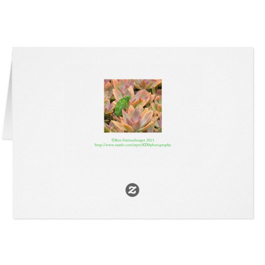 CONGRATULATIES/IK BEN GROEN MET ENVY/GROENE LIZARD (Achterkant Horizontaal)