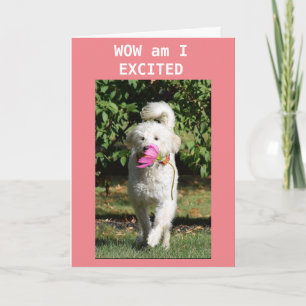 CONGRATULATIES OP UW **NIEUW THUIS** KAART